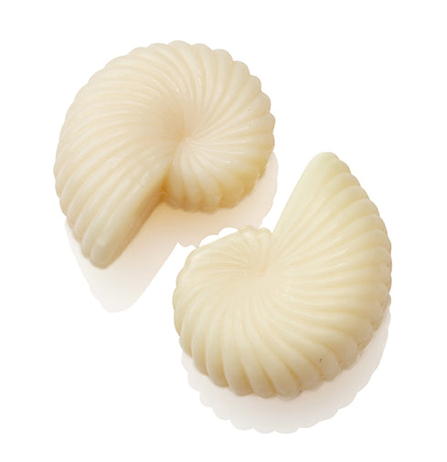 Nautilus shell-shaped soap in creamy off-white color.