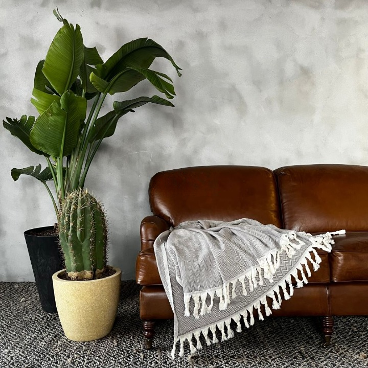 Anza Brown Herringbone Throw in living room