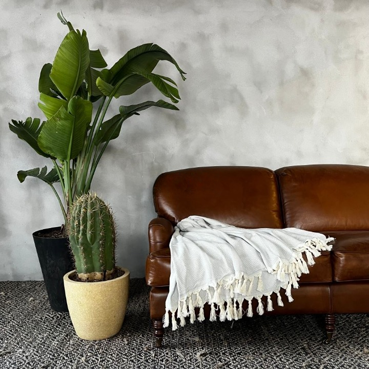 Anza Silver Grey Herringbone Throw in living room