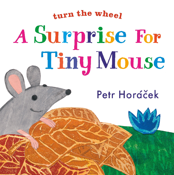 A book cover featuring a little grey mouse on a pile of yellow leaves, with the title 'A Surprise for Tiny Mouse' written in colorful lettering above the author's name, 'Petr Horacek'