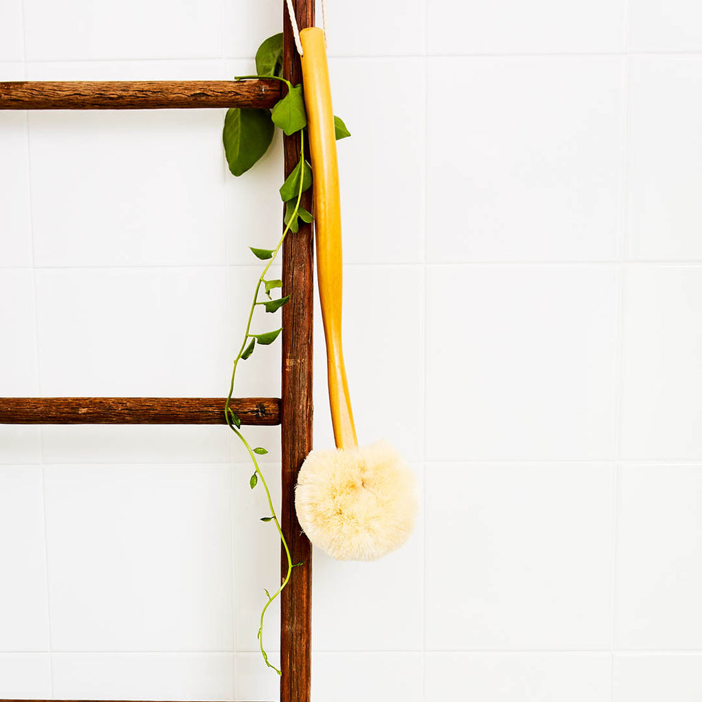 Eco Max Medium Bristle Back Body Brush hanging on wood ladder