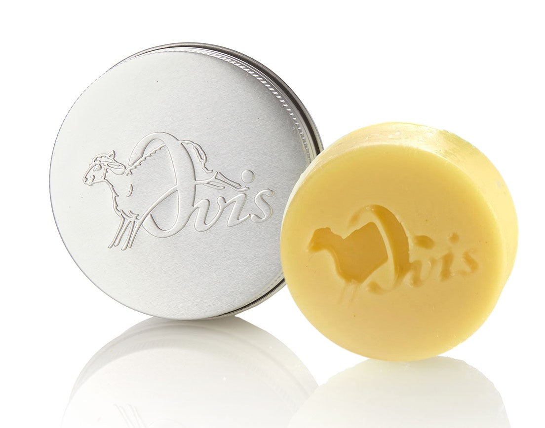 Aloe Vera Solid Body Butter – Thomson Home