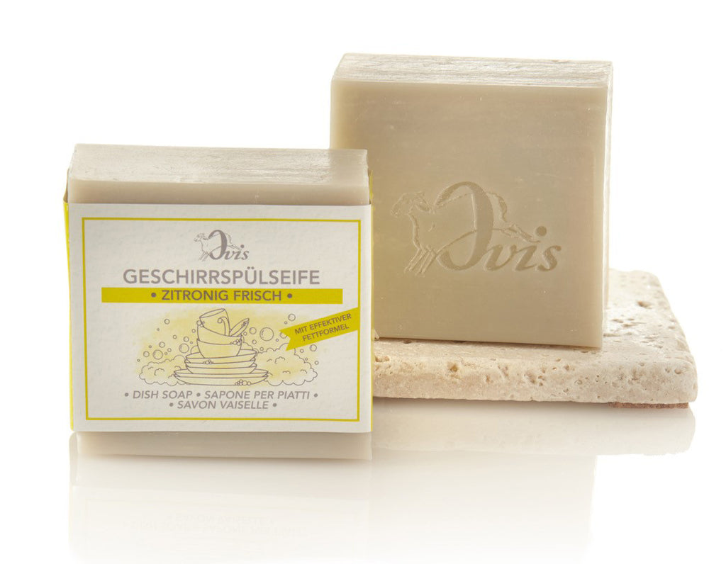 Two bars of beige soap, one packaged with a dishwashing illustration label, the other embossed with a logo on a stone slab.